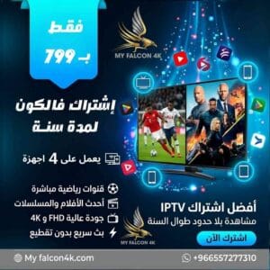 اشتراك فالكون لمدة سنة